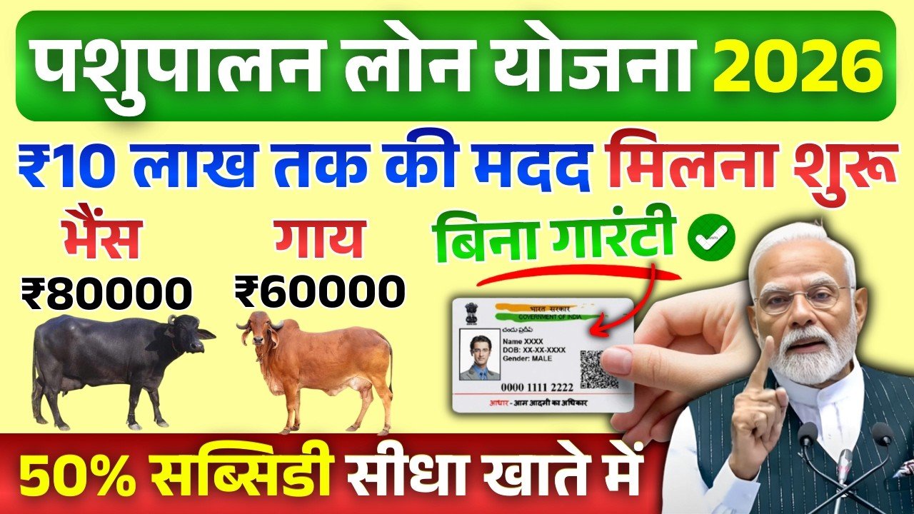 डेयरी फार्मिंग बिजनेस लोन 2026: 10 लाख तक का ऋण और 50% सब्सिडी की सुविधा; यहां आवेदन करें Dairy Farm Loan 2026